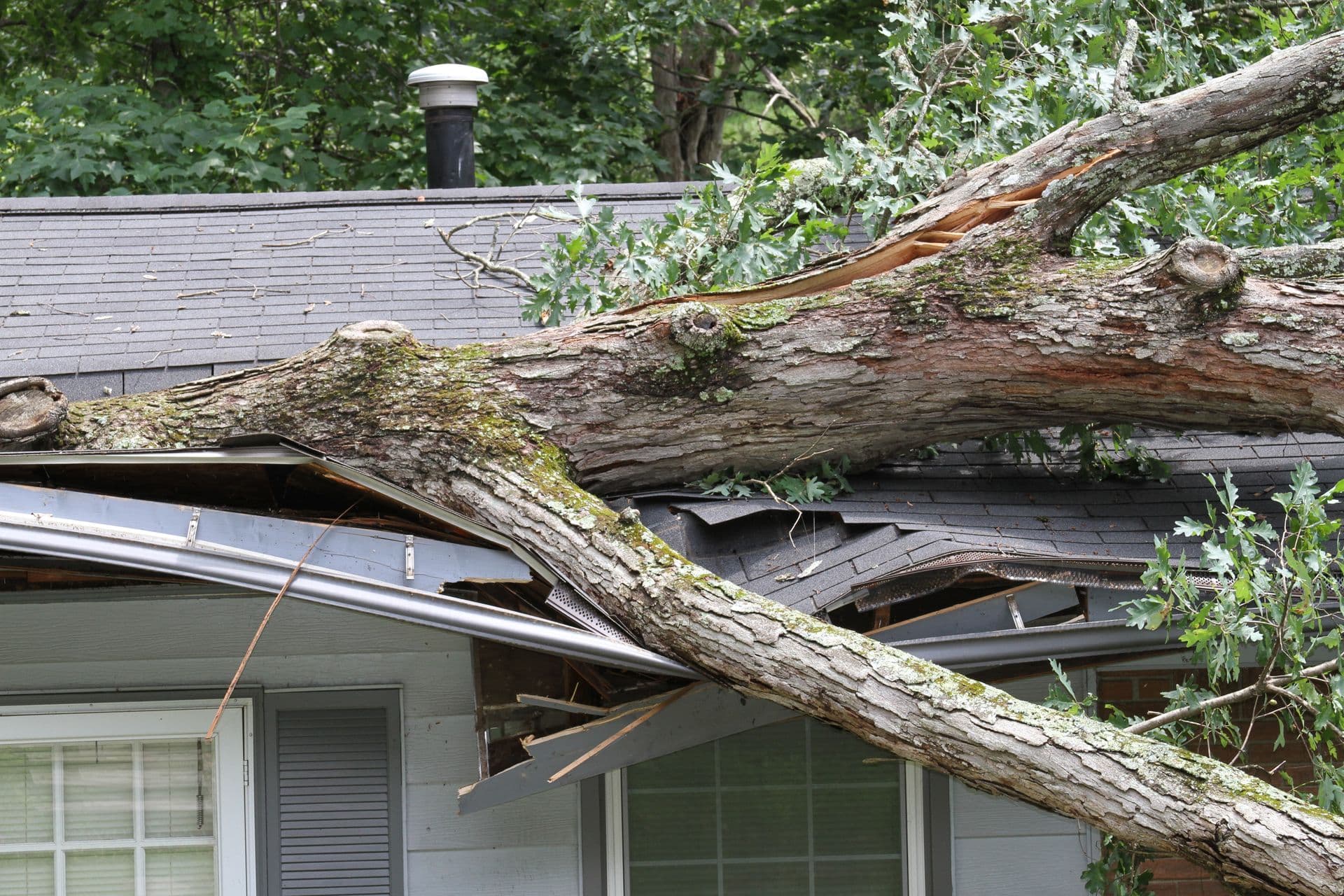 Storm-Damage