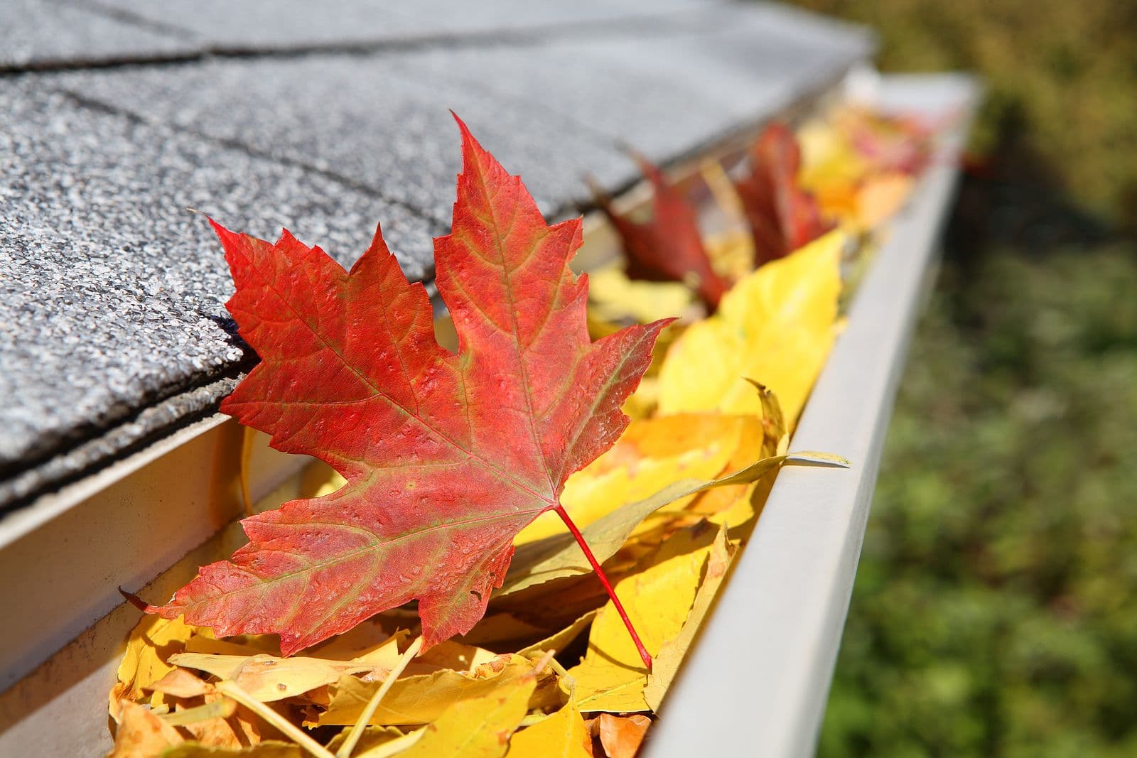 gutter-guards-milwaukee-wi